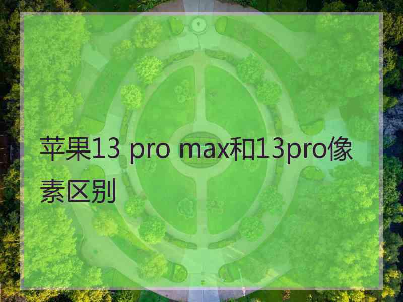 苹果13 pro max和13pro像素区别