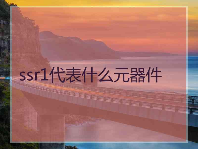 ssr1代表什么元器件