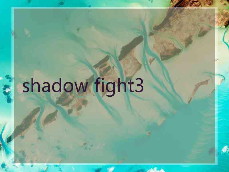 shadow fight3