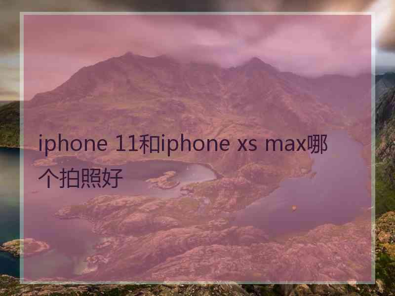 iphone 11和iphone xs max哪个拍照好