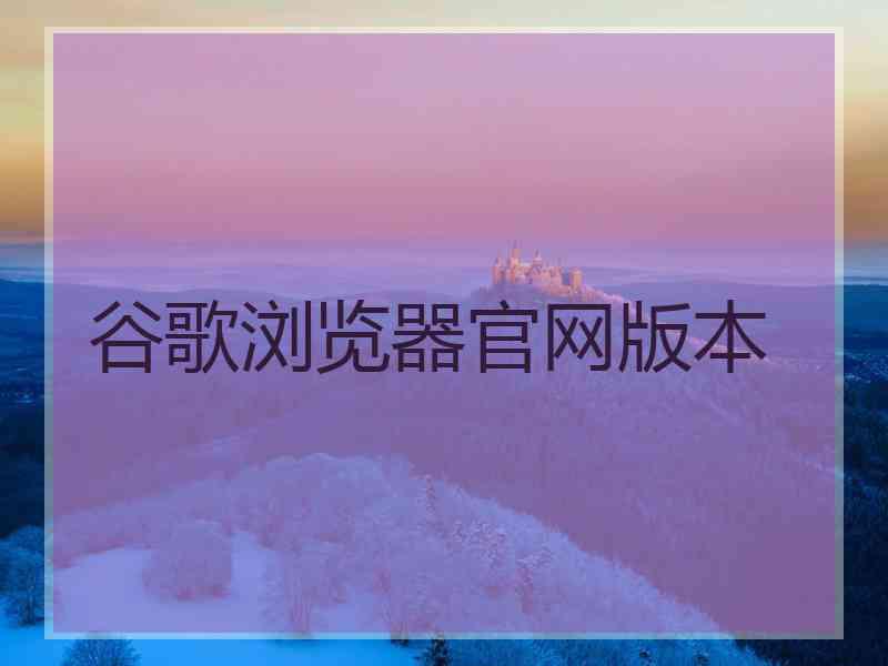 谷歌浏览器官网版本