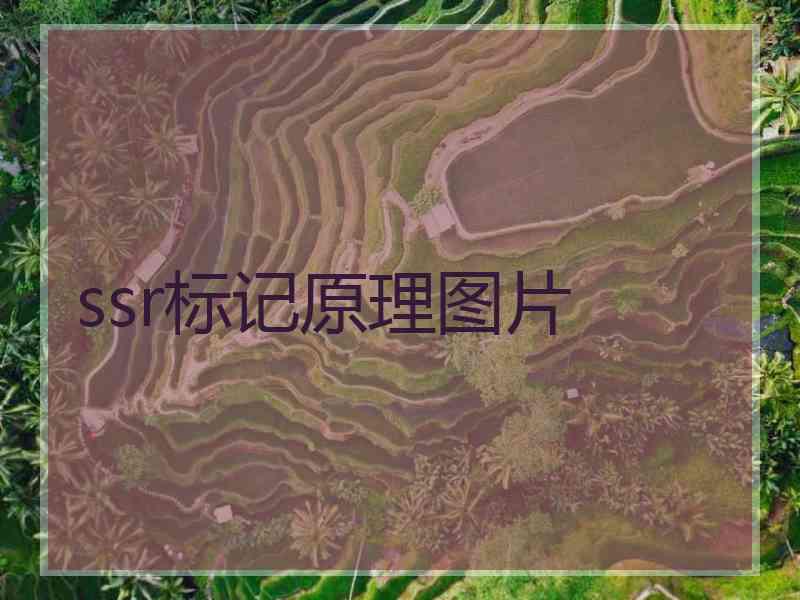 ssr标记原理图片