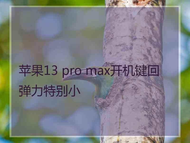 苹果13 pro max开机键回弹力特别小