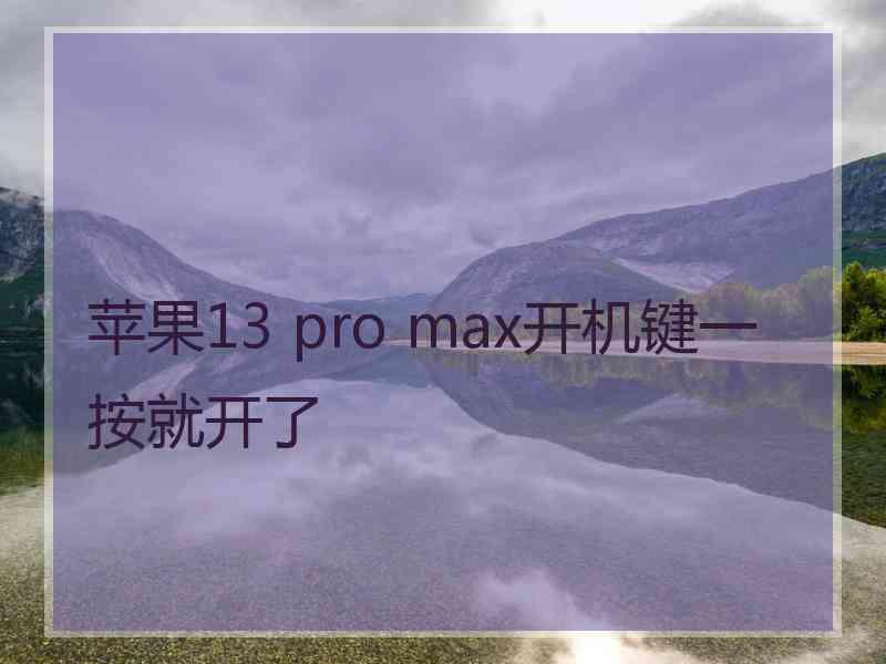 苹果13 pro max开机键一按就开了