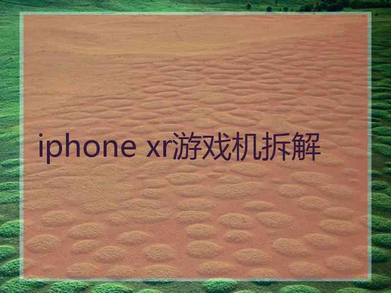 iphone xr游戏机拆解