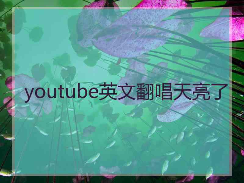 youtube英文翻唱天亮了