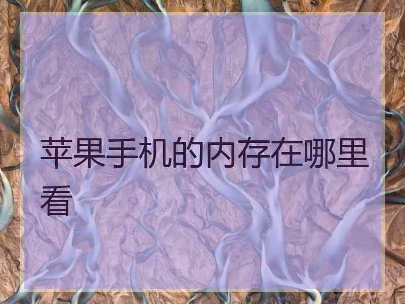 苹果手机的内存在哪里看