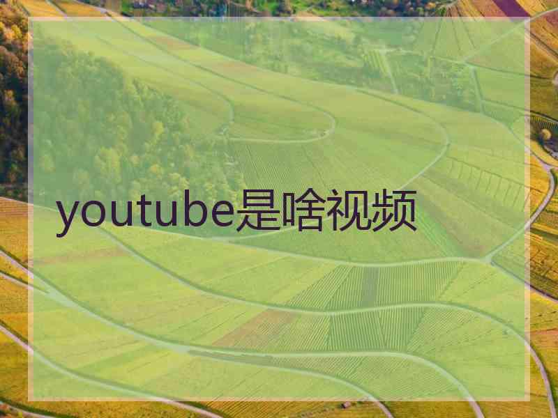 youtube是啥视频