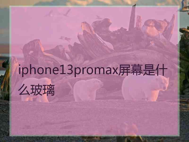 iphone13promax屏幕是什么玻璃