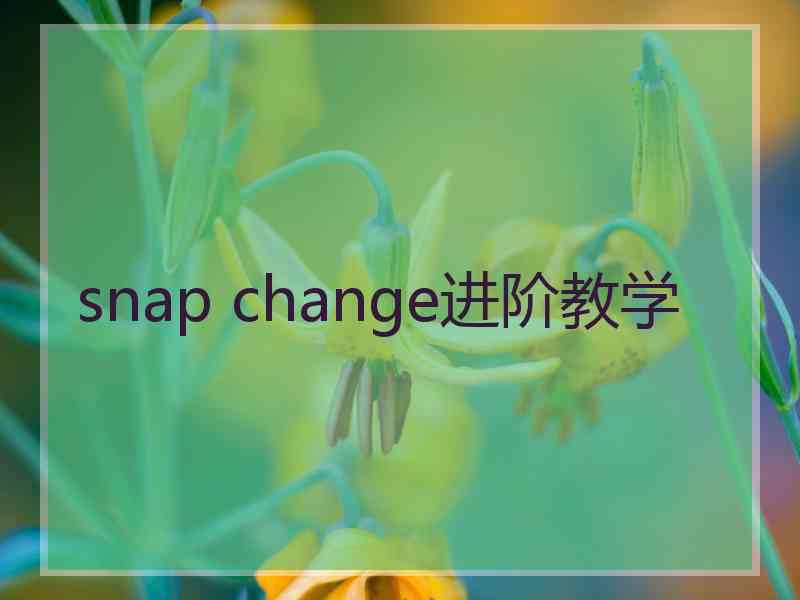 snap change进阶教学