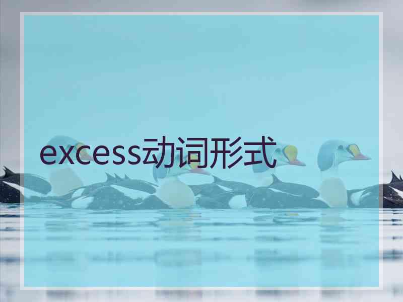 excess动词形式