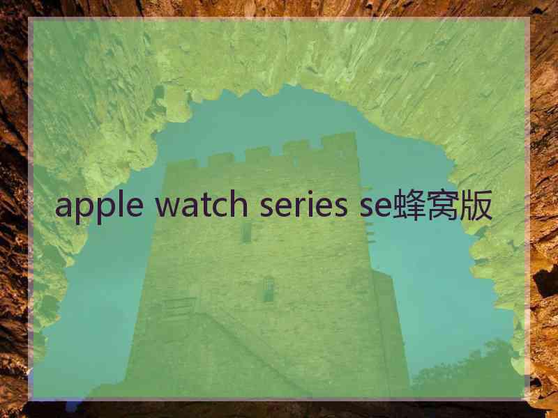 apple watch series se蜂窝版