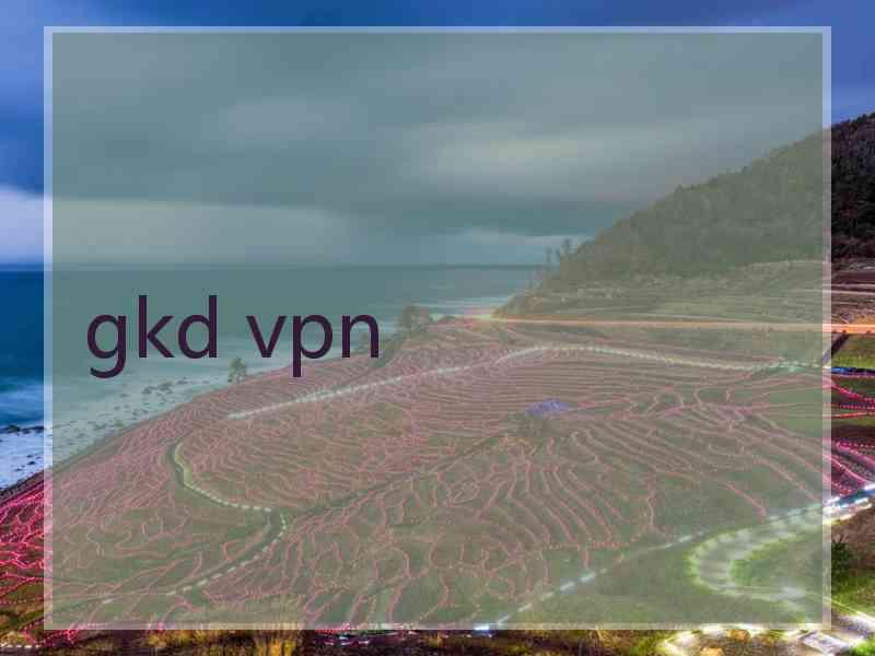 gkd vpn