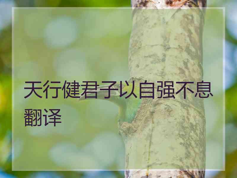 天行健君子以自强不息翻译