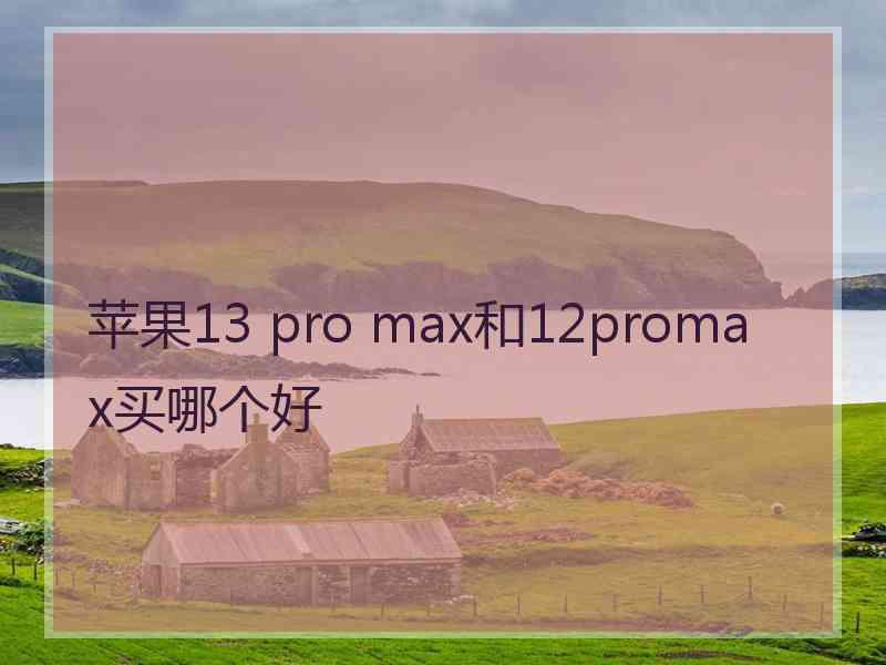 苹果13 pro max和12promax买哪个好