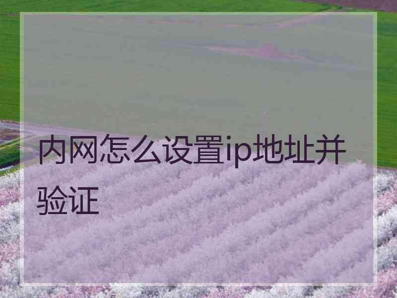 内网怎么设置ip地址并验证