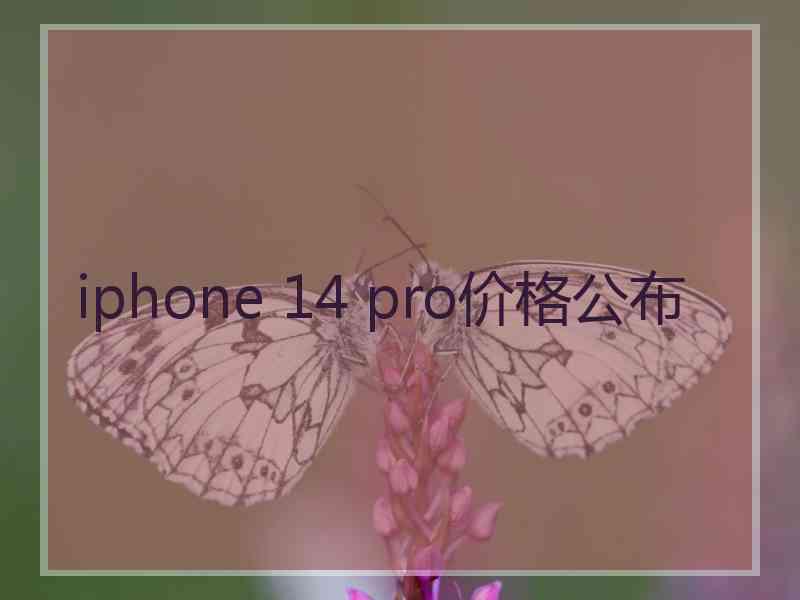 iphone 14 pro价格公布