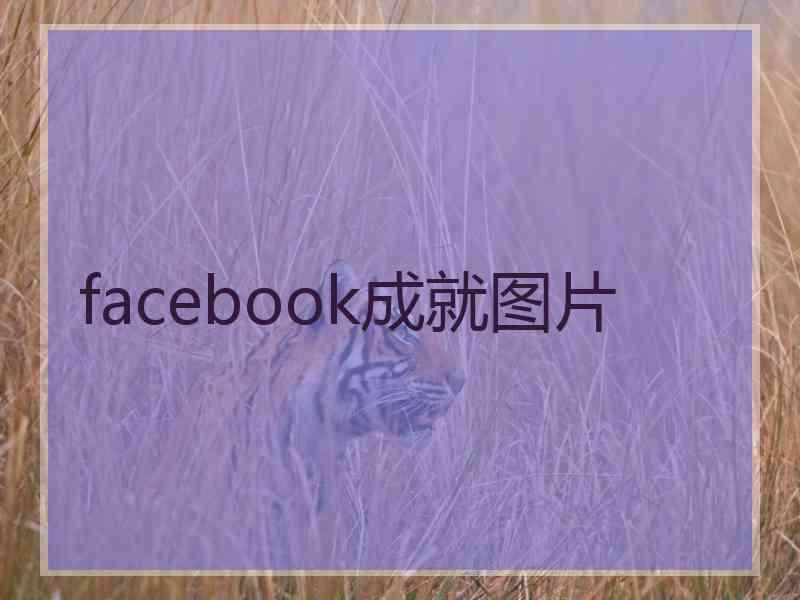 facebook成就图片