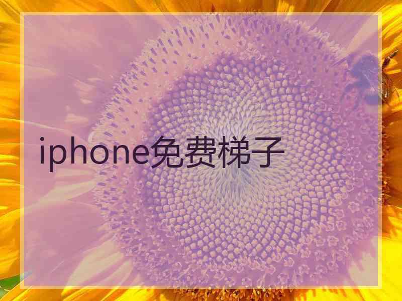 iphone免费梯子