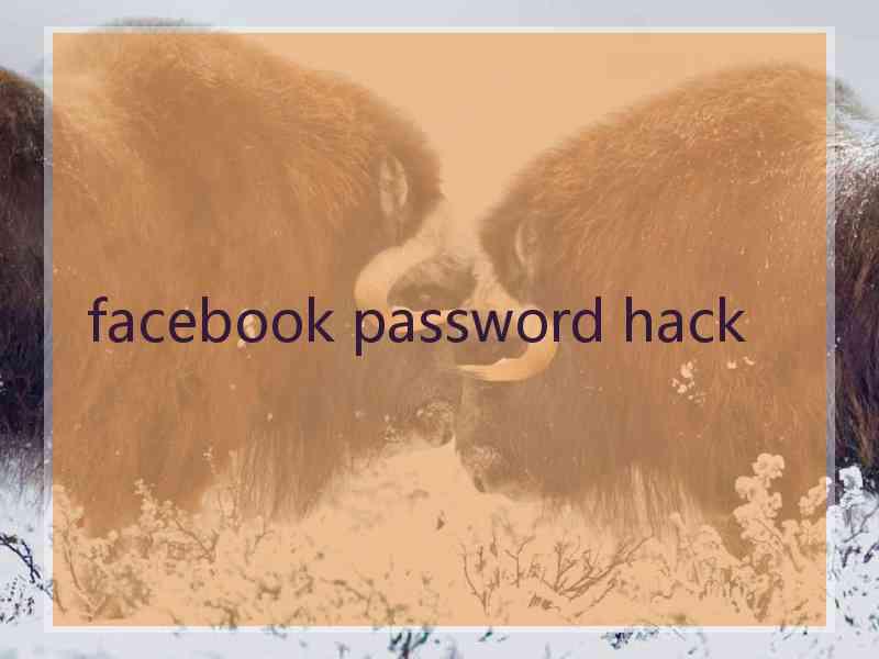 facebook password hack