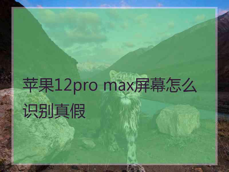 苹果12pro max屏幕怎么识别真假