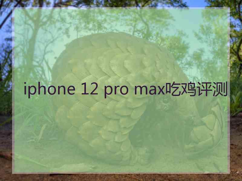 iphone 12 pro max吃鸡评测