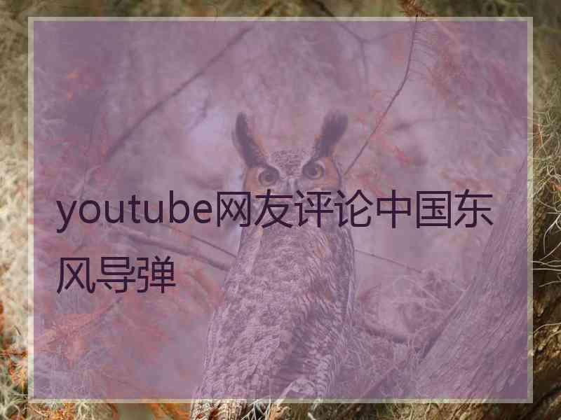 youtube网友评论中国东风导弹