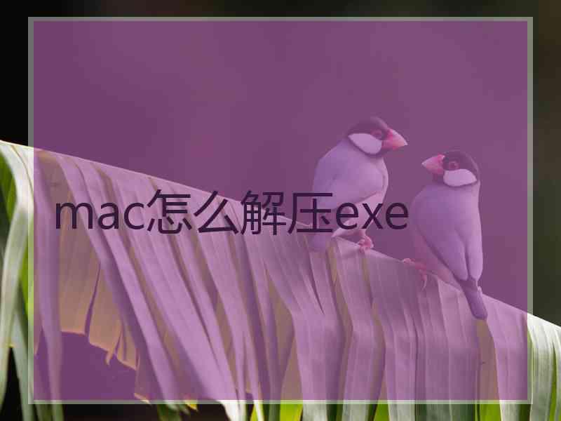 mac怎么解压exe