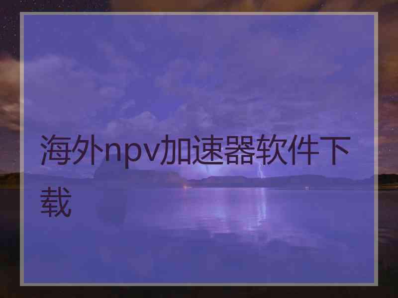 海外npv加速器软件下载