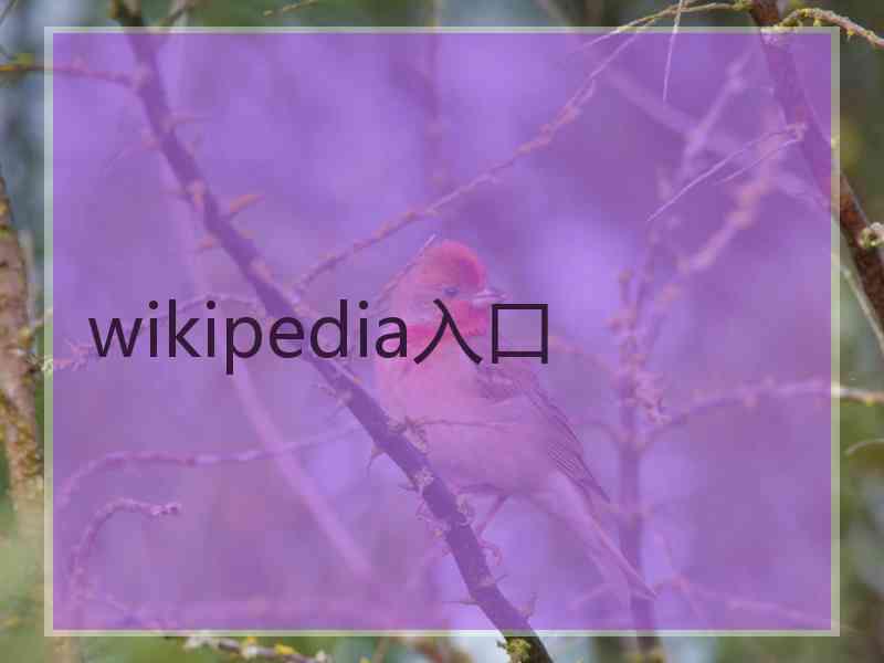 wikipedia入口