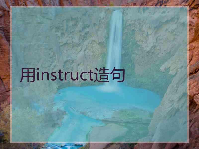 用instruct造句