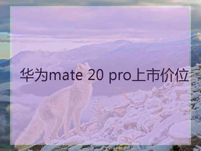 华为mate 20 pro上市价位