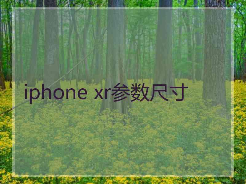 iphone xr参数尺寸