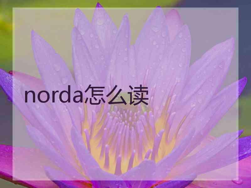 norda怎么读