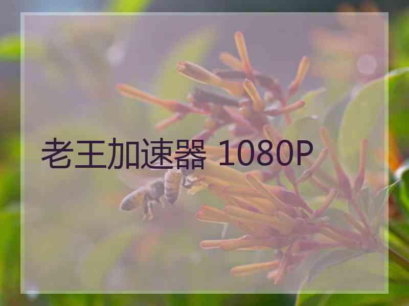 老王加速器 1080P