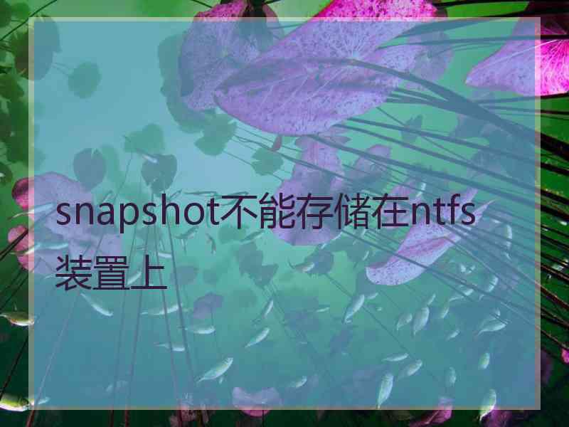 snapshot不能存储在ntfs装置上