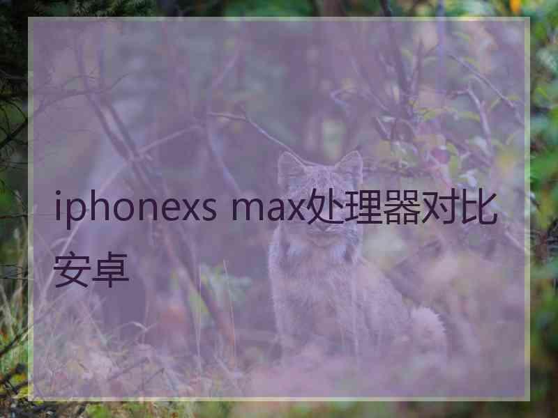 iphonexs max处理器对比安卓