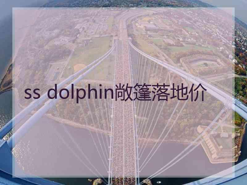 ss dolphin敞篷落地价