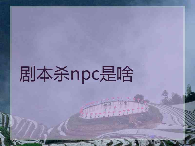 剧本杀npc是啥