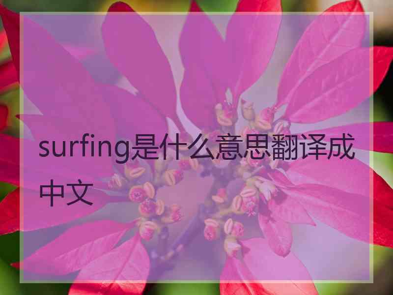 surfing是什么意思翻译成中文