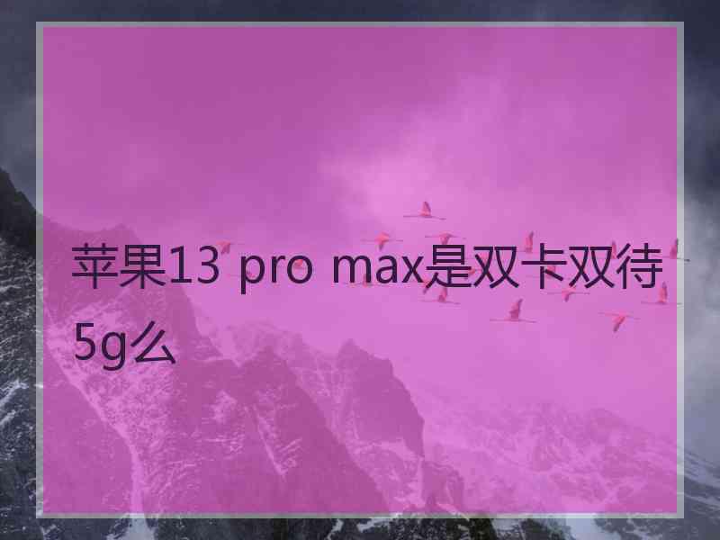 苹果13 pro max是双卡双待5g么