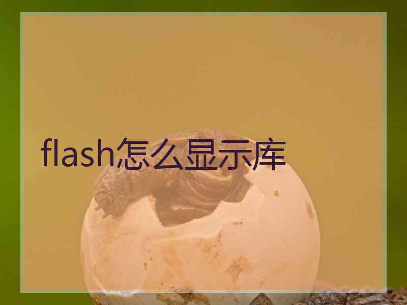 flash怎么显示库