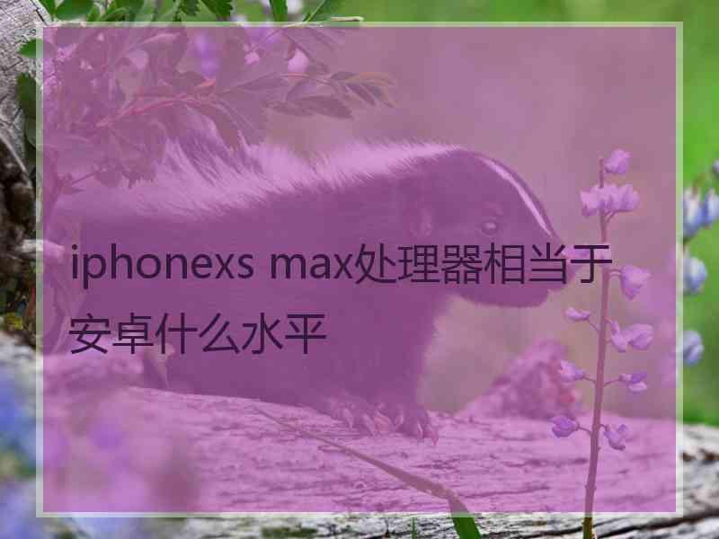 iphonexs max处理器相当于安卓什么水平