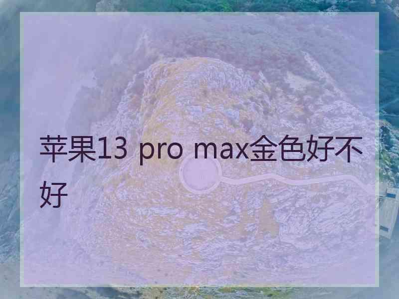 苹果13 pro max金色好不好