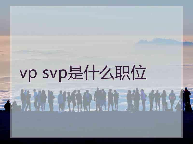 vp svp是什么职位