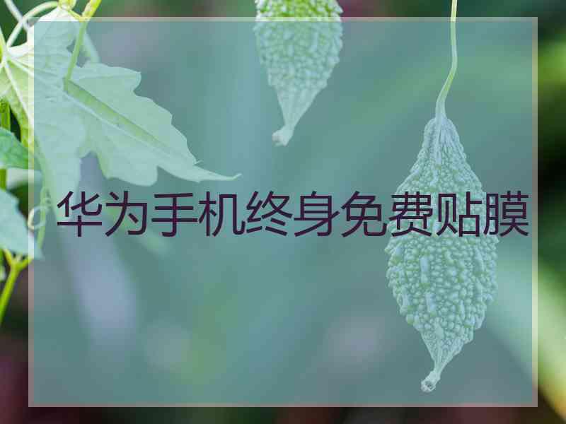 华为手机终身免费贴膜