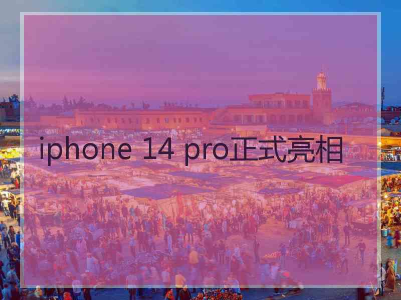 iphone 14 pro正式亮相