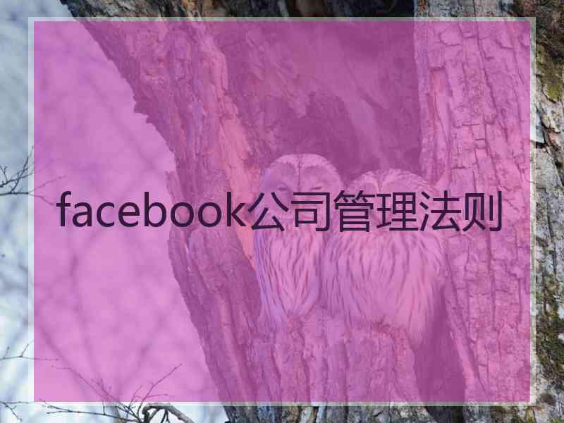 facebook公司管理法则