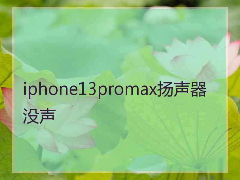 iphone13promax扬声器没声