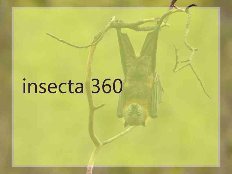 insecta 360